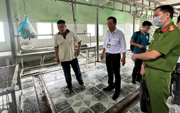 Hình ảnh heo nhiễm bệnh được chụp tại cơ sở giết mổ thuê cho Công ty C.P ở Hậu Giang được tiêu hủy