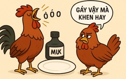 Câu thành ngữ quen thuộc này là gì? (P36)