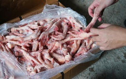 Chống buôn lậu, hàng giả