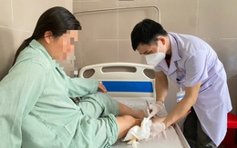 Một bệnh viện tiếp nhận 20 bệnh nhân bị chó cắn trong 1 tháng