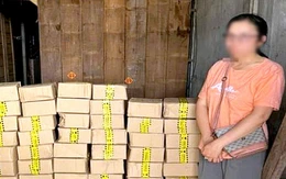 Kiên Giang phát hiện kho hàng chứa mỹ phẩm nghi giả mạo, lừa dối khách hàng