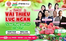 Vải thiều đã chín đỏ trên siêu thị online Sendo Farm