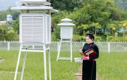 Dự báo thời tiết đất liền, biển điều chỉnh thế nào sau khi sắp xếp đơn vị hành chính cấp tỉnh và xã?