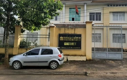 Thanh tra toàn diện Công ty một thành viên Cà phê Gia Lai