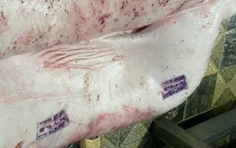 Mảnh heo bệnh mà lại đóng dấu 'được đưa ra thị trường' là sai