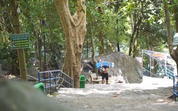 Góc nhìn trưa nay | Mưu sinh theo lối mòn trên lưng núi Bà Đen