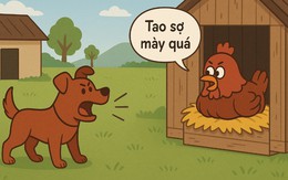 Câu thành ngữ quen thuộc này là gì? (P37)