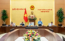 Đề xuất ký hợp đồng với doanh nhân tiêu biểu, chuyên gia làm nhiệm vụ công chức lãnh đạo