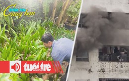 Điểm tin 18h: Giá dừa tăng cao kỷ lục; 2 vụ cháy chung cư liên tiếp ở Hà Nội