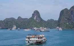 Khách Tây đến Quảng Ninh chỉ lên thuyền ngủ một đêm trên vịnh Hạ Long là về