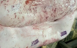 Xác định được người đóng dấu kiểm dịch sai đối với heo bệnh của Công ty C.P. Việt Nam