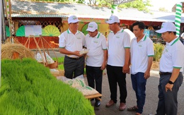 Lan tỏa thông điệp xanh tại Ngày hội Sống xanh, đồng hành cùng kinh tế xanh