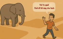 Đây là câu tục ngữ gì? (P23)