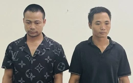 Một cán bộ hải quan bị bắt vì khai thác gỗ rừng trái phép