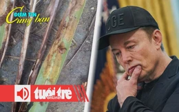 Điểm tin 8h: Sâu đầu đen gây hại hơn 100ha dừa; Giới đầu tư tháo chạy vì Trump - Musk