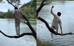 Thanh niên sống ảo rơi xuống hồ vì leo phải cành khô