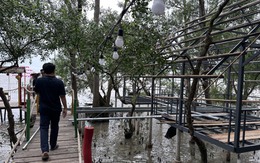 'Xẻ thịt' đất rừng phòng hộ để làm quán nhậu