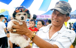 Hơn 300 thú cưng xúng xính váy áo dự hội thi ở Mỹ Tho