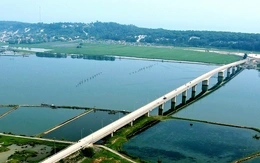 Huế: Điều tra vụ phá rừng phòng hộ ven biển bị chặt phá hơn 2,5ha