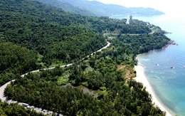 Du khách nước ngoài tử vong trên bán đảo Sơn Trà, xe mô tô rơi xuống hố thoát nước