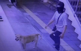 Mang chó cưng cùng đi cướp, thanh niên Thái 'vui được đúng 2 ngày'