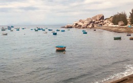 Về nhà là hành trình tuyệt vời nhất trong tim