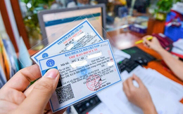 Tin tức sáng 14-7: Luật mới nhưng giữ nguyên mức đóng bảo hiểm y tế 4,5% lương cơ sở