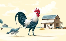Câu thành ngữ ám chỉ sự vô kỷ luật này là gì?