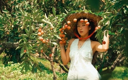 Chợ vải thiều ở Bắc Ninh 'gây sốt' nhờ bộ ảnh đẹp như phim trường