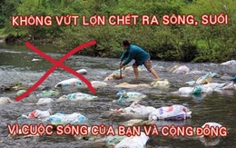 Người chăn nuôi cần làm gì để phòng, chống bệnh dịch tả heo châu Phi?