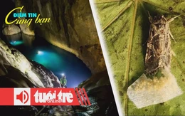 Điểm tin 8h: Hang Sơn Đoòng là bối cảnh phim Ấn Độ; Côn trùng có thể nghe cây cối nói chuyện