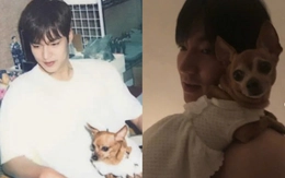 Lee Min Ho và tình yêu thương vô hạn dành cho chú cún vừa qua đời