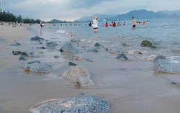 Lo lắng trước loạt đá tảng sắc bén ở bãi biển Bình Sơn - Ninh Chử