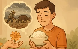 Câu ca dao quen thuộc này là gì?