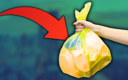 Lộ trình cấm không sử dụng đồ nhựa dùng một lần trong vành đai 1 Hà Nội