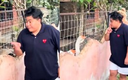 Anh trai đi tham quan sở thú mà nổi tính sân si