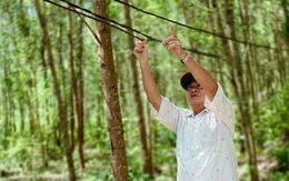 Xóm điện thiếu, sóng yếu ở Quảng Ngãi: Nấu nồi cơm không chín, bật tivi không lên