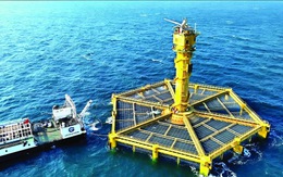 Những biến động mới ở Thái Bình Dương