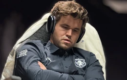 ChatGPT đánh giá 'Vua cờ' Magnus Carlsen chỉ là tuyển thủ nghiệp dư