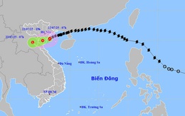 Tâm bão Wipha đang ngay trên vùng biển ven bờ Hưng Yên - Ninh Bình