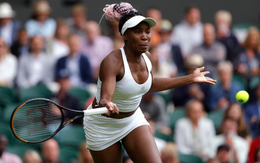 Venus Williams tái xuất US Open ở tuổi 45 khiến fan bất ngờ