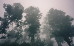 'Làng địa ngục' Sảo Há của Andy Trung