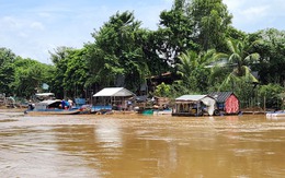 Nước lũ đầu nguồn đổ về An Giang, cá linh xuất hiện sớm, người dân vui mừng