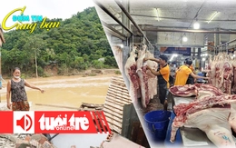 Điểm tin 8h: Dồn lực giúp bà con vùng lũ khắc phục thiệt hại; Thịt heo rớt giá vì dịch bệnh