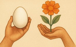 Thành ngữ quen thuộc này là gì? (P48)