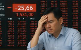 Bảng điện nhiều công ty chứng khoán 'đứng hình' phiên thanh khoản vượt 80.000 tỉ