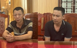 Bắt tạm giam hai người khai thác hơn 12.000m³ đất trái phép