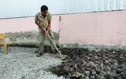 Nộp tiền 2 tháng nhưng nông dân Cà Mau vẫn chưa nhận được lúa giống