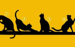 Quiz: Bạn thông minh, nhân hậu hay là người có tâm hồn nghệ thuật?