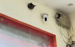 Ảnh vui 31-7: Chiếc camera chạy bằng pate, không tua lại được nhưng 'đắt giá'